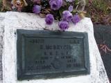 image of grave number 401071